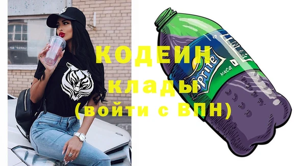 ECSTASY Алзамай
